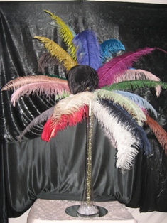 Multi coloured feather cascade, multi coloured feather fountain